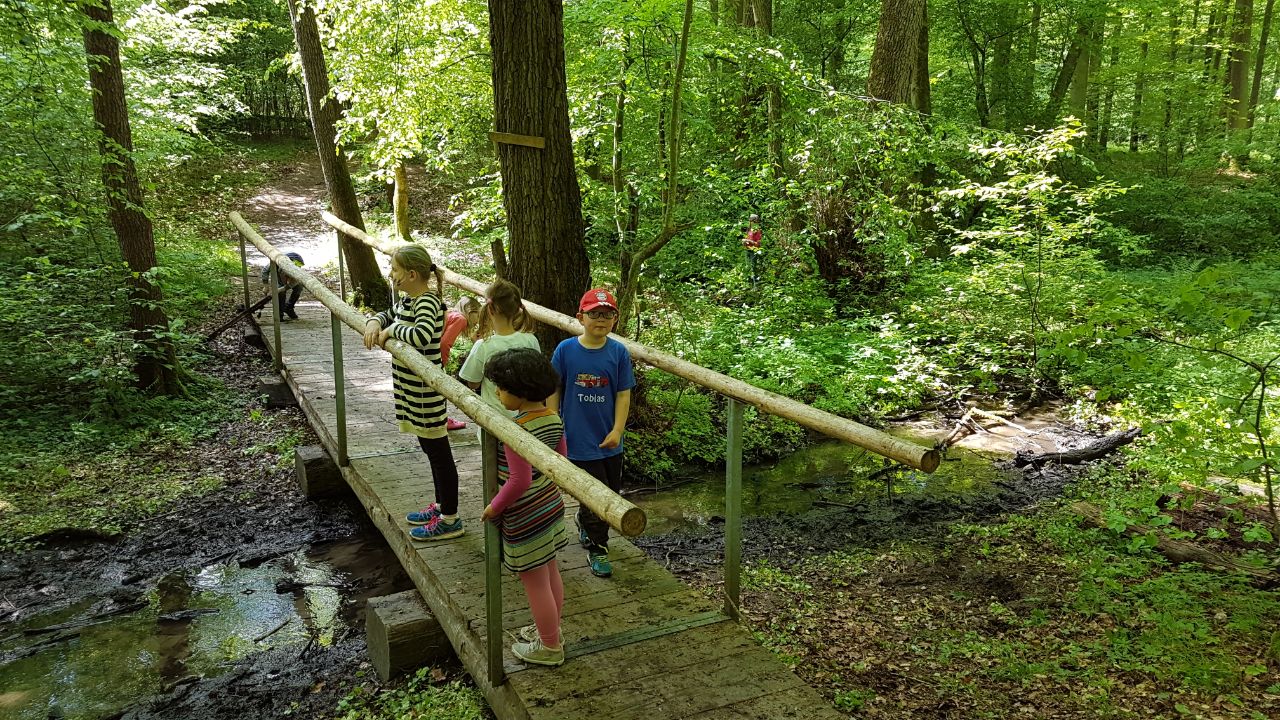 Wald-Actiontag des Förderverein im Mai 2017